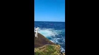 Man Eaten By Shark in Little Bay Sydney