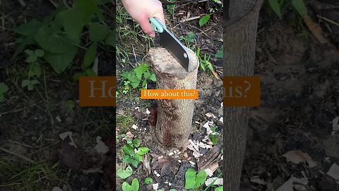 Can your knife do this? You tell me. | Shed Knives #shedknives #shorts