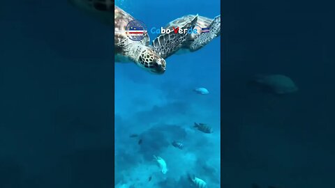 Cabo Verde #caboverde #caboverdeyoutuber #santiago #cv #traveltheworld #instatravel