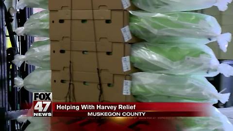Michigan company sending 2,000 kayaks to Texas, Louisiana