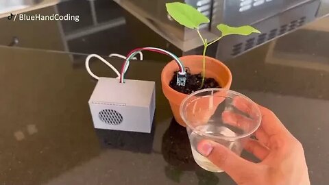And now about important projects: the programmer “taught” the plant to demand watering...