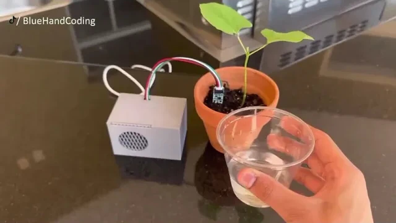 And now about important projects: the programmer “taught” the plant to demand watering...