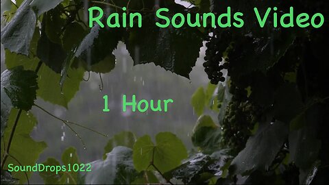1-Hour Rain Serenade: Extended Relaxation