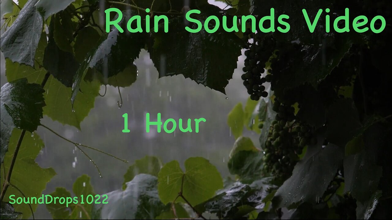 1-Hour Rain Serenade: Extended Relaxation