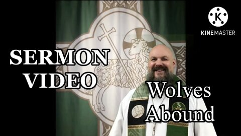 2022.08.07 – Wolves Abound