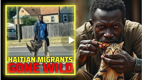 ON THE GROUND VIDEO Springfield, Ohio Residents Describe Haitian