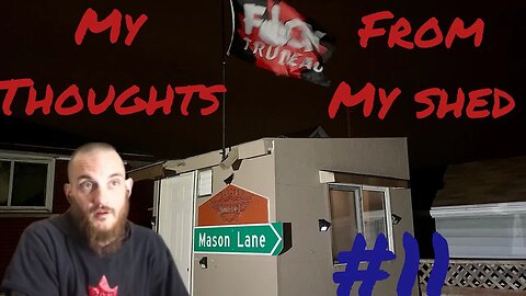 My thoughts from my shed #11