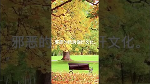 一句话开悟20220103