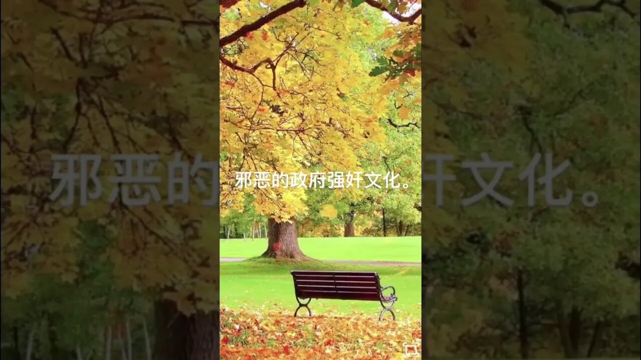 一句话开悟20220103