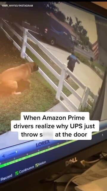 Epic Amazon fail: Delivery driver runs from giant (friendly) dog