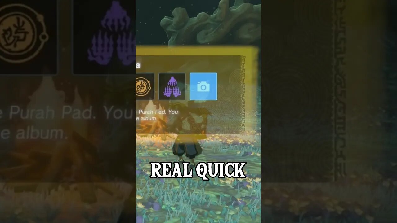 Do Not Skip Getting The Camera In Zelda #zelda #tearsofthekingdom #short