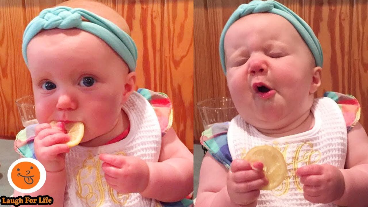 Funniest Babies Reaction When Eating Lemons | Funny Babies and Pets