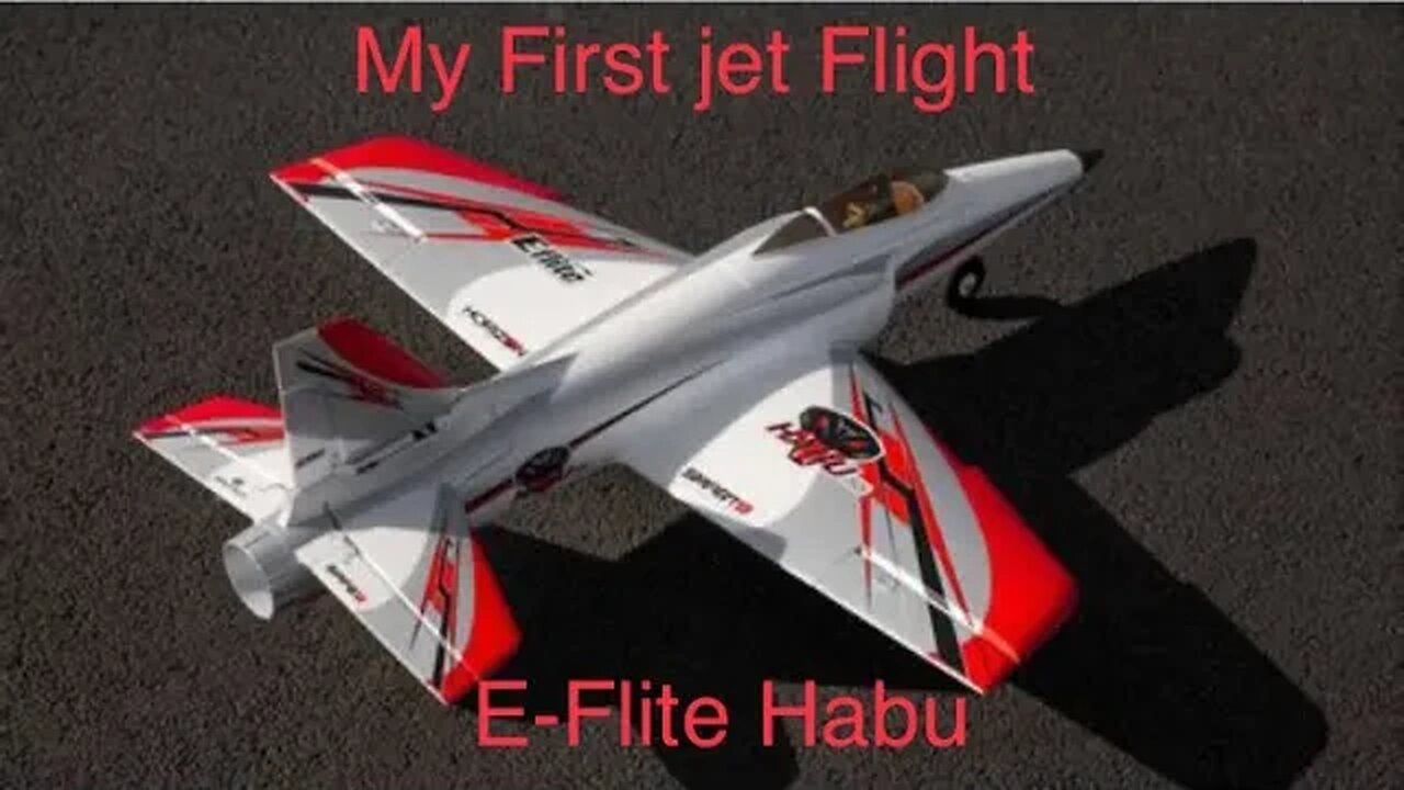 My First Ever Flight with E Flite Habu