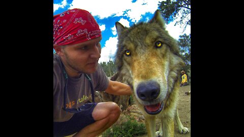 DingDon! HOW TO OVERCOME SEPERATION ANXIETY WITH ANY DOG!