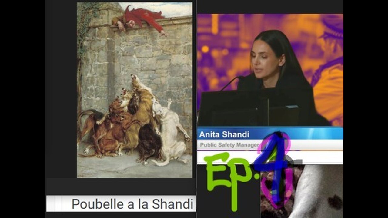 Poubelle à la shandi ep.4 VID 20240920 004528