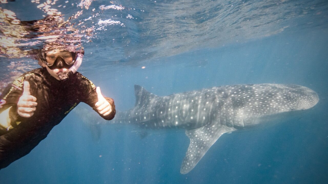 Ningaloo WA