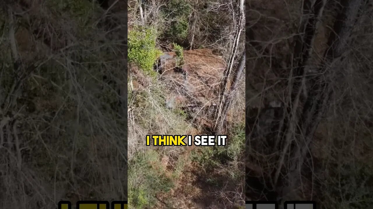 Searching For MISSING Man In Woods! (Randy Parnell) #shorts
