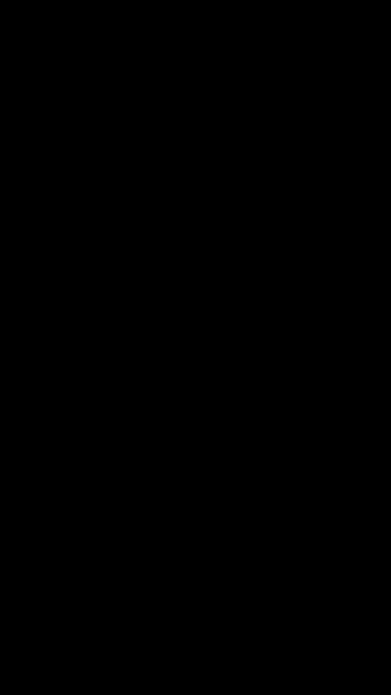 Green economic reset