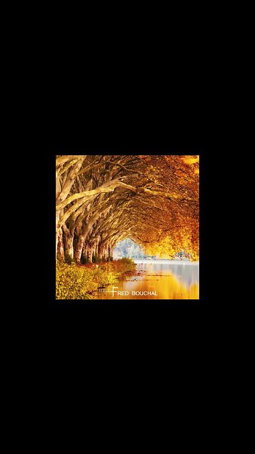 #gentle #piano #music