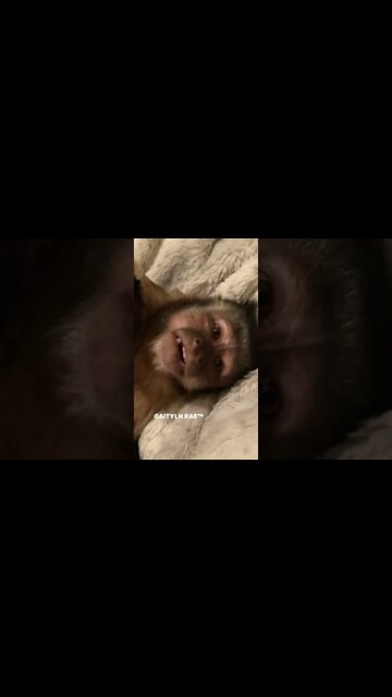 Nite nite my FRANDS!! Thanks for joining my new page and hanging with me today!! #gaitlynrae #gaitly