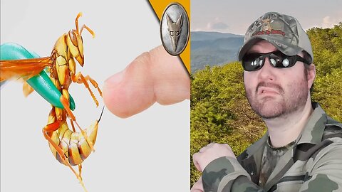 Stung By An Executioner Wasp! (Brave Wilderness) REACTION!!! (BBT)