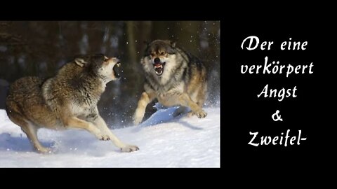 Die zwei Wölfe / The two wolves