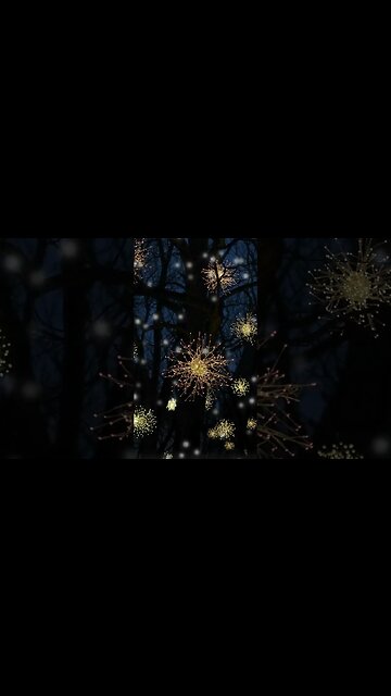 1 Minute Meditation I EMBRACE TRANQUILITY #shorts #youtubeshorts #meditate #sleepmusic