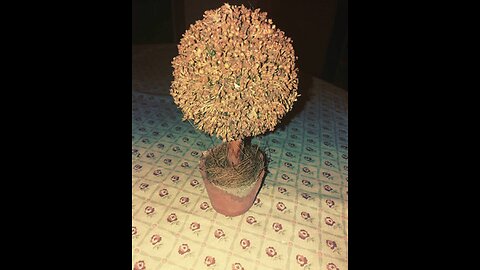 Handmade tree planter miniature