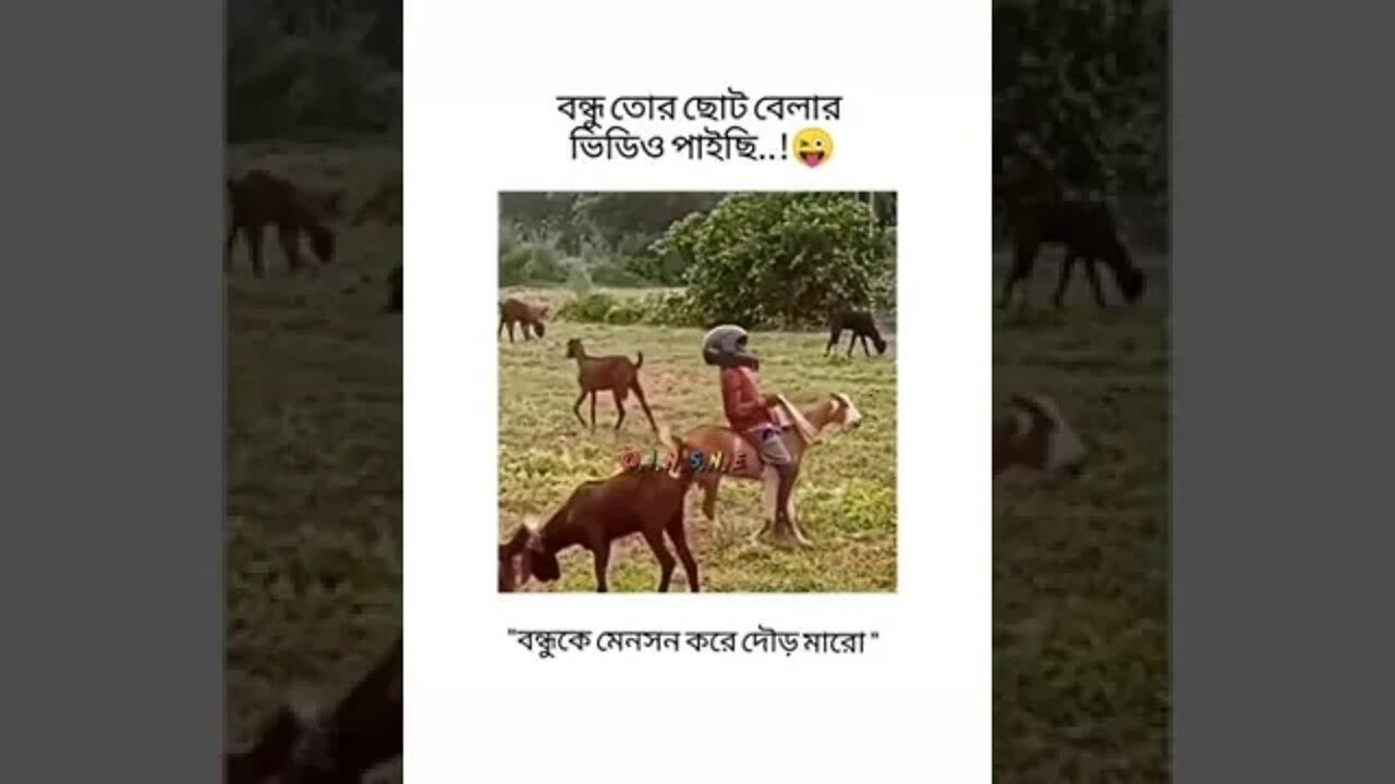 wait