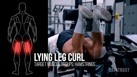 Lying Leg Curl