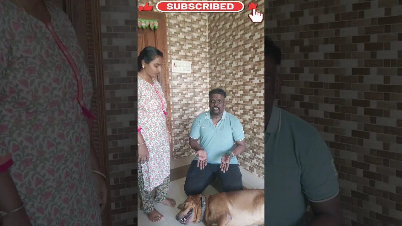 Fun With Dog😘 | Dog 10000 Rupees Only🤩 | Husband and Wife Alaparaigal