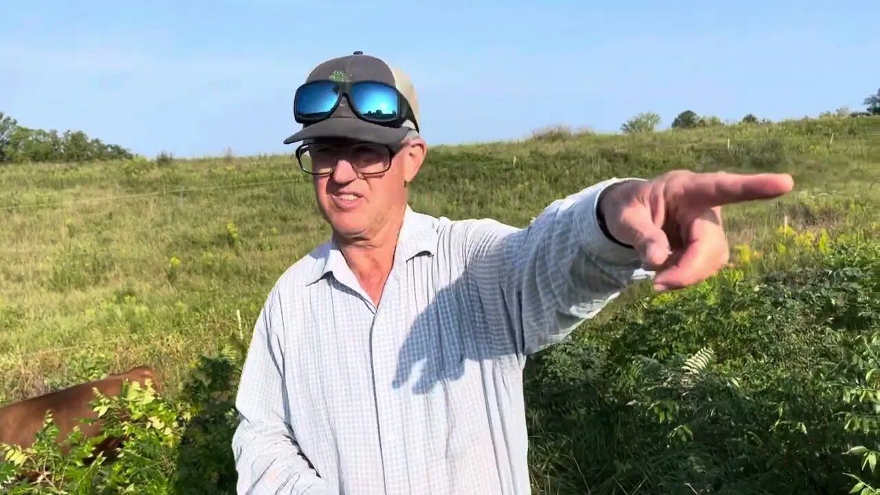 Jan and Greg discuss their grazing school event while watching the bulls get fat on brush.