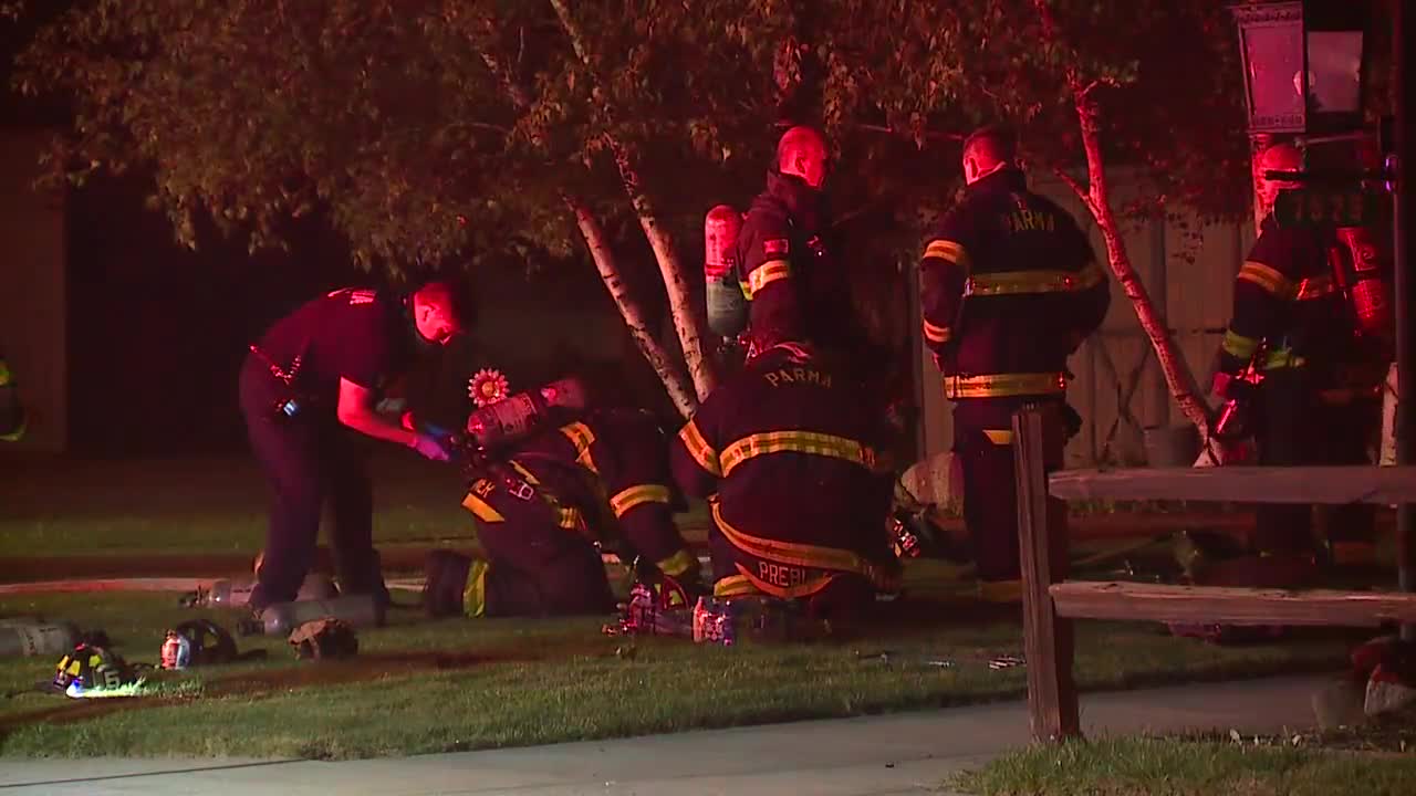 Family dog killed in Parma house fire