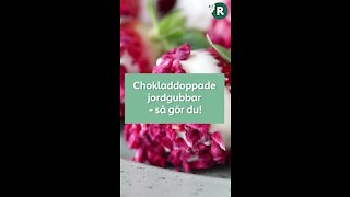 Chokladdoppade jordgubbar (3)