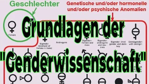 Die Widerlegung des Gender-Mainstreamings: Wunschdenken statt Wissenschaft – Expresszeitung 26