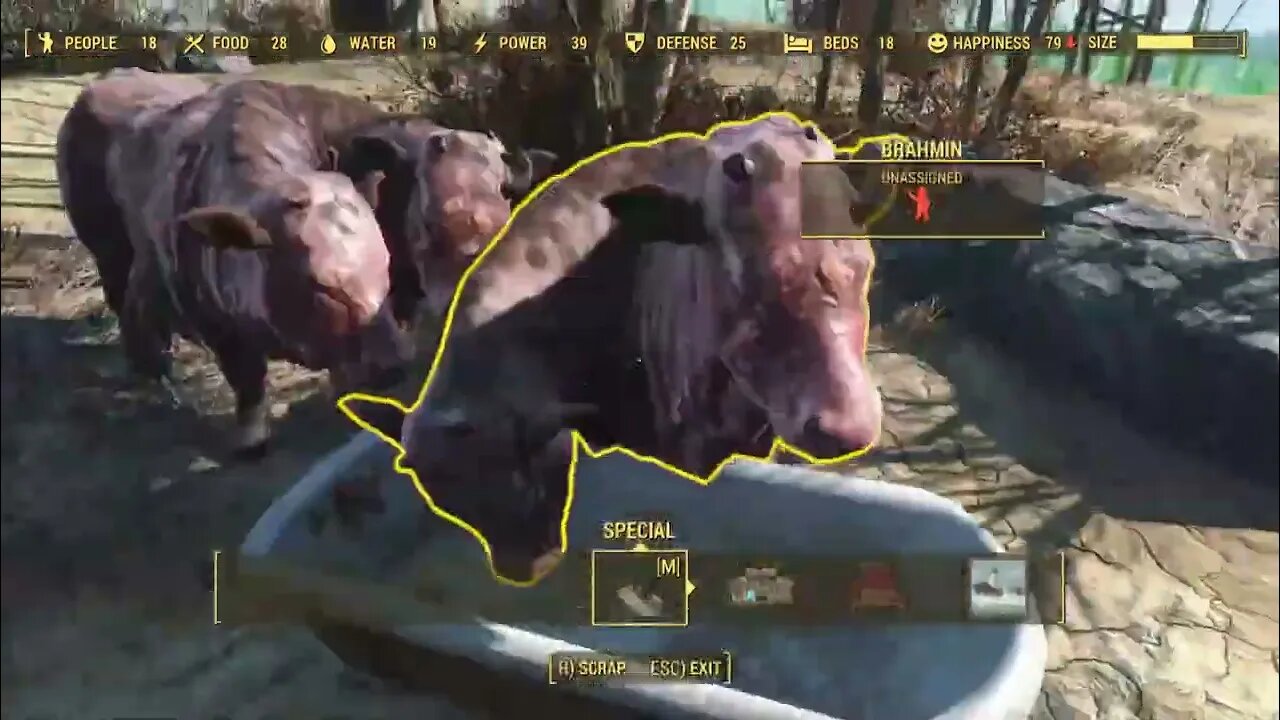 02 17 88 Checking on settlements and collecting caps