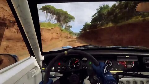 DiRT Rally 2 - Shaky Sprint Through Waimarama