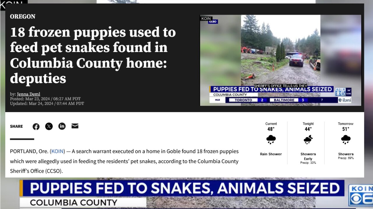 18 frozen puppies used to feed pet snakes found in Columbia County home: deputies