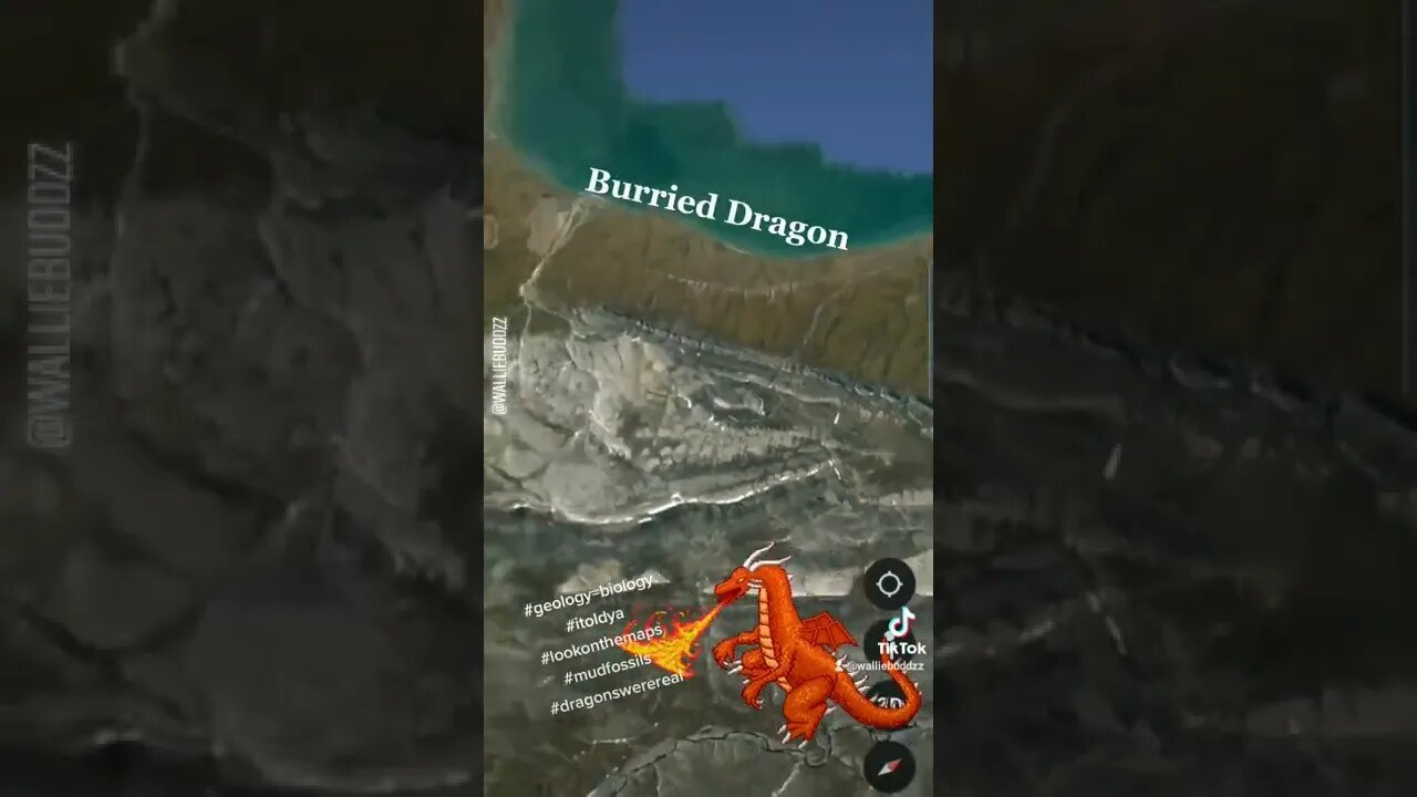 Burries Dragon