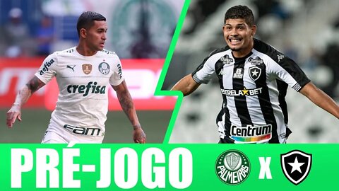 PRÉ-JOGO PALMEIRAS X BOTAFOGO AO VIVO - PAULO MASSINI.