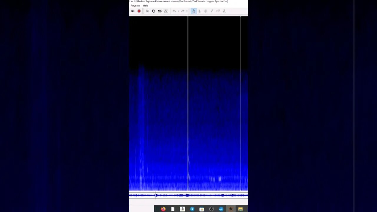 Strange sound caught. what do you think it could be? #sasquatch #owl