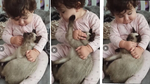 Adorable toddler cuddles with impressively tolerant cat