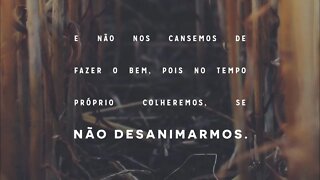 Reflexão bíblica sobre Gálatas 6:9 - Não nos cansemos de fazer o bem