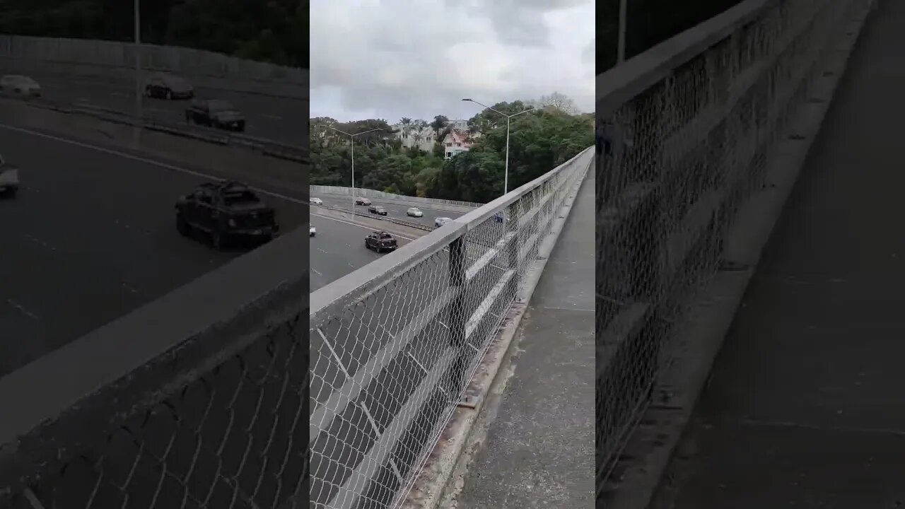 Shelly Beach Road motorway overpass.