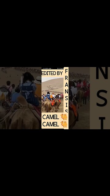 CAMEL 🐫