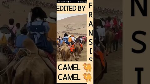 CAMEL 🐫