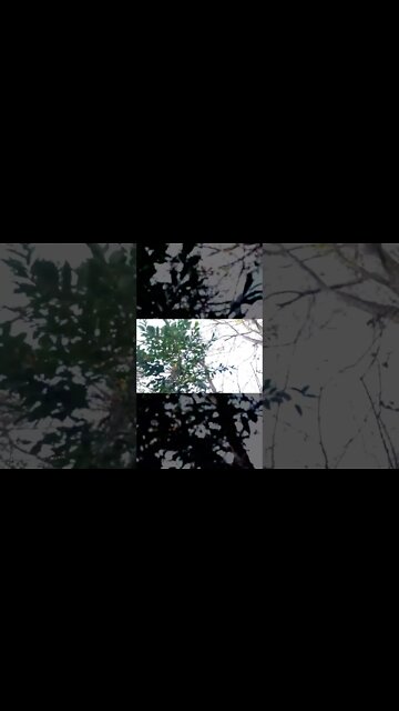 How to Make the World Go Away (by Going to Nature)