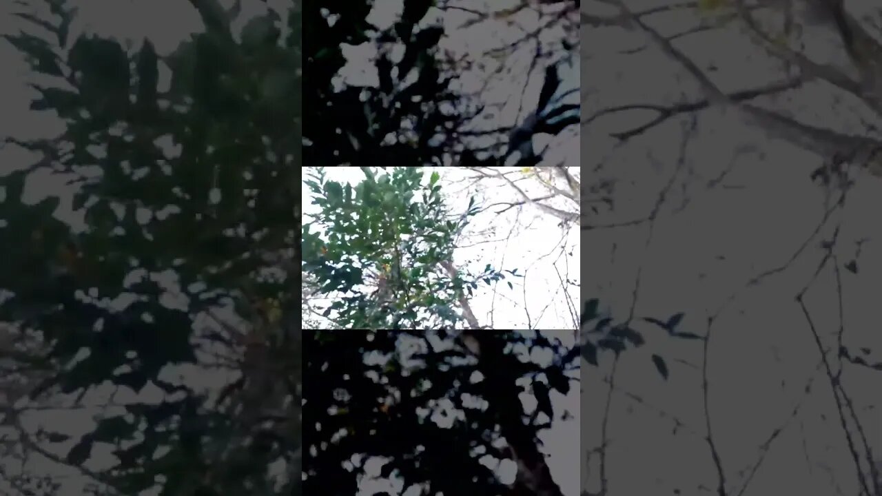 How to Make the World Go Away (by Going to Nature)