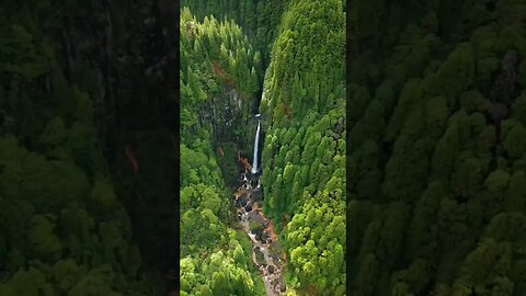 viralyoutubereel #viralreelsstatus #natureenthusiast #travel #youtubereelsvideoshort #foryourpage #