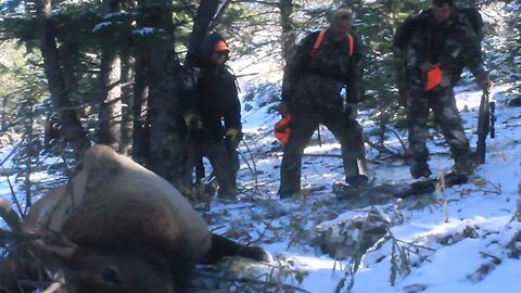 Elk Hunt Prayer